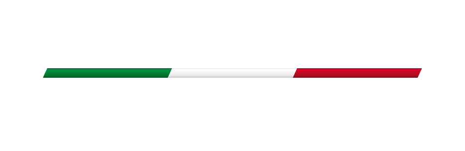 FR vettore ufficiale_negativo